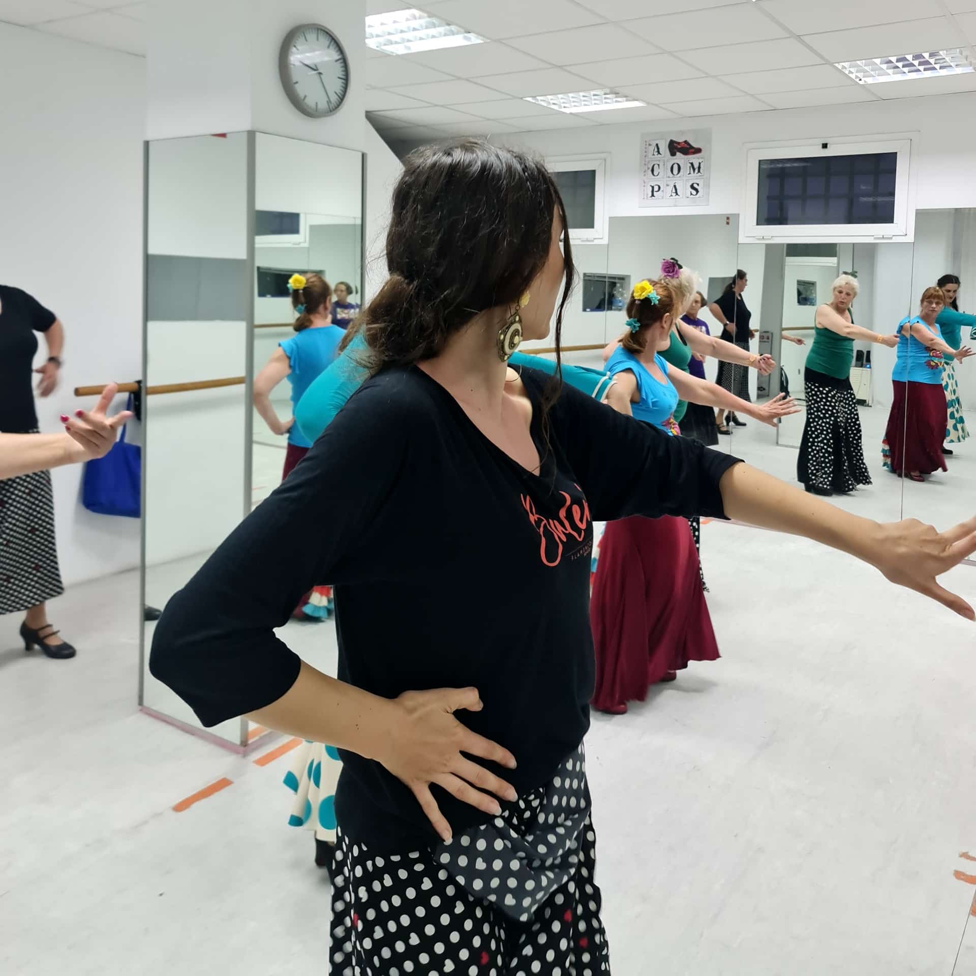 Explora el flamenco.
